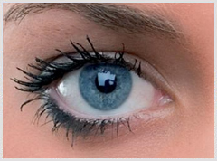AlpLocal Eye Exams Mobile Ads