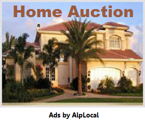 AlpLocal Home Auction Bid Shopping Time