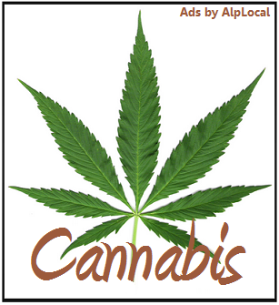 AlpLocal Cannabis Lobbyists Mobile Ads